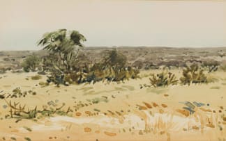 Walter Westbrook; Near Hotazel