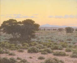 Jan Ernst Abraham Volschenk; The Karoo with Gwarrie Bush, Cape Province