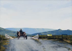 Peter Bonney; Donkey Cart