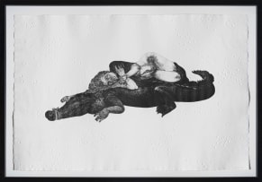 Diane Victor; Let Sleeping Crocs Lie