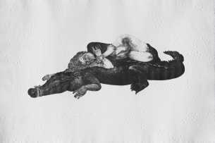 Diane Victor; Let Sleeping Crocs Lie