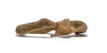 Noria Mabasa; Snake with Dog