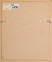 Claire Linder-Smith; Sarcocaulon Crassicaule, Succulent Karoo