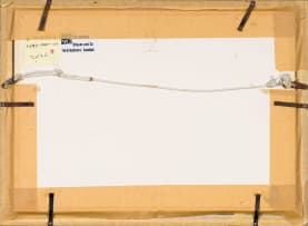 Claire Linder-Smith; Ihlenfeldtia Excavata, Succulent Karoo