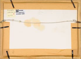 Claire Linder-Smith; Streptocarpus Fornosus, Forest