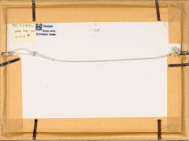 Claire Linder-Smith; Streptocarpus Fornosus, Forest