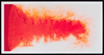 Berni Searle; On Either Side