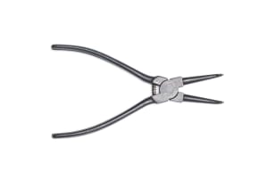 Belinda Blignaut; Anatomise