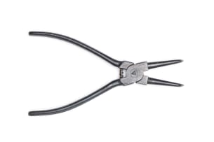 Belinda Blignaut; Anatomise