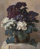 Frans Oerder; Cinerarias in Aardewerk Pot (Cinerarias in Earthenware Pot)