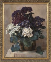 Frans Oerder; Cinerarias in Aardewerk Pot (Cinerarias in Earthenware Pot)