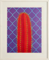 Norman Catherine; Red Fetish