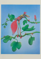 Norman Catherine; The Rare Gaboob, from A Tribute to King Ferd III portfolio