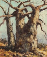Otto Klar; Baobab Tree
