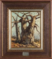 Otto Klar; Baobab Tree
