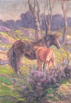 Allerley Glossop; Horses in a Field