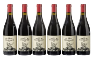Sons of Sugarland; Syrah; 2019; 6 (1 x 6); 750ml
