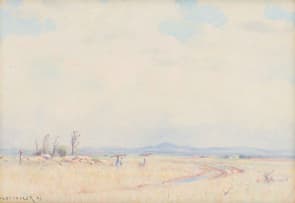 Willem Hermanus Coetzer; Landscape