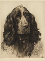 Herbert Thomas Dicksee; A Cocker Spaniel