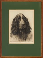 Herbert Thomas Dicksee; A Cocker Spaniel