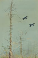 Philip Rickman; Over the Tops (Blackcock in Flight)