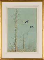 Philip Rickman; Over the Tops (Blackcock in Flight)