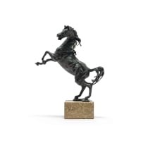 Danie de Jager; Rearing Stallion