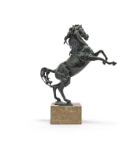 Danie de Jager; Rearing Stallion