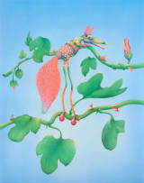 Norman Catherine; The Rare Gaboob, from A Tribute to King Ferd III portfolio