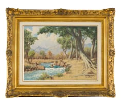 Willem Hermanus Coetzer; Transvaal Lowveld