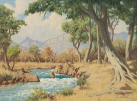 Willem Hermanus Coetzer; Transvaal Lowveld