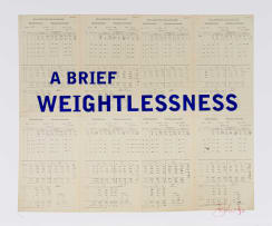 William Kentridge; A Brief Weightlessness