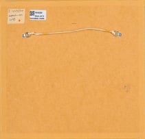 Wilfred Timire; Portrait