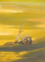 Kevin Roberts; Shipwreck