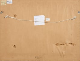 Sandra Hanekom; Temper