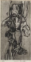 Dirk Meerkotter; Iris