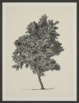 Esias Bosch; Silver Cluster Leaf