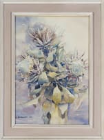 Ulrich Schwanecke; Proteas