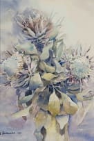 Ulrich Schwanecke; Proteas