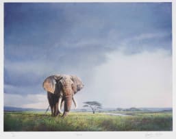 Ignatius Marx; Tusker