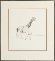 Norman Catherine; Tarantananrantan