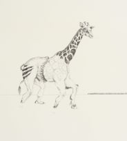 Norman Catherine; Tarantananrantan