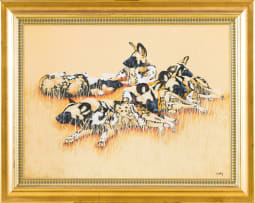 Michael Costello; Wild Dogs