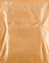 Adriaan Boshoff; Violin Player