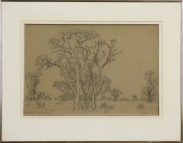 Jacob Hendrik Pierneef; Vaalwal, Knoppiesdoring