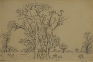 Jacob Hendrik Pierneef; Vaalwal, Knoppiesdoring