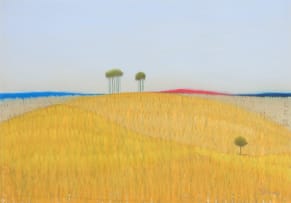 Pieter van der Westhuizen; Landscape