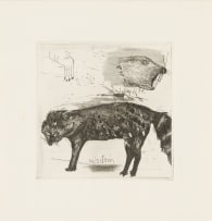 Various Artists; The Hourglass Project: A Women's Vision