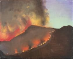 Matthew Hindley; Der Brennenden Wald Series (The Burning Forest), fifteen