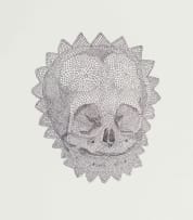 Walter Oltmann; Child Skull